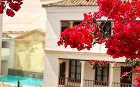 Las Casas De La Juderia De Cordoba